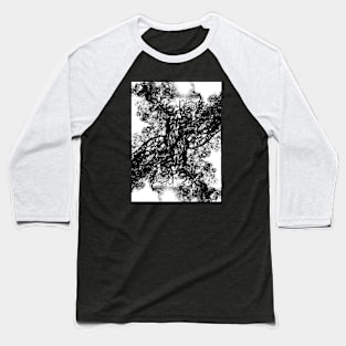 Oak Fractals Baseball T-Shirt